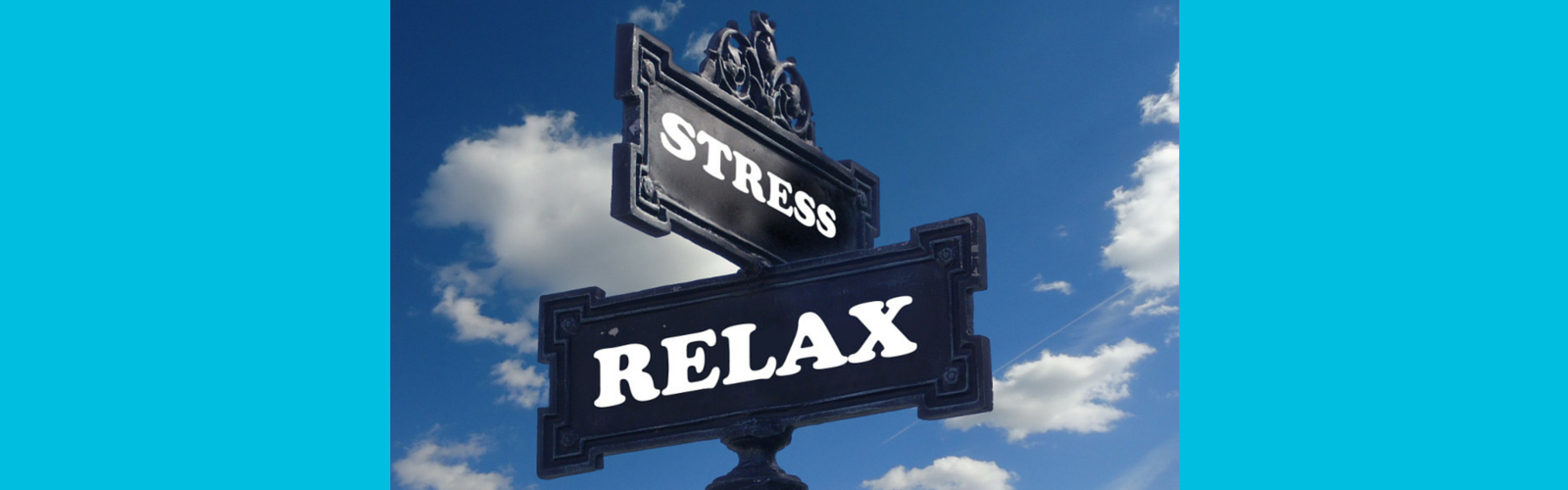 Stress Less – It’s Not Lip Service!